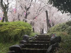 濡れた階段