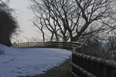 親不知子不知の遊歩道