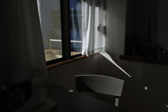 晩秋の陽ざし