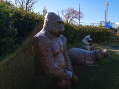 ゴリラとカバのもの想い