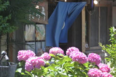 ペリーロードをご一緒に　暖簾