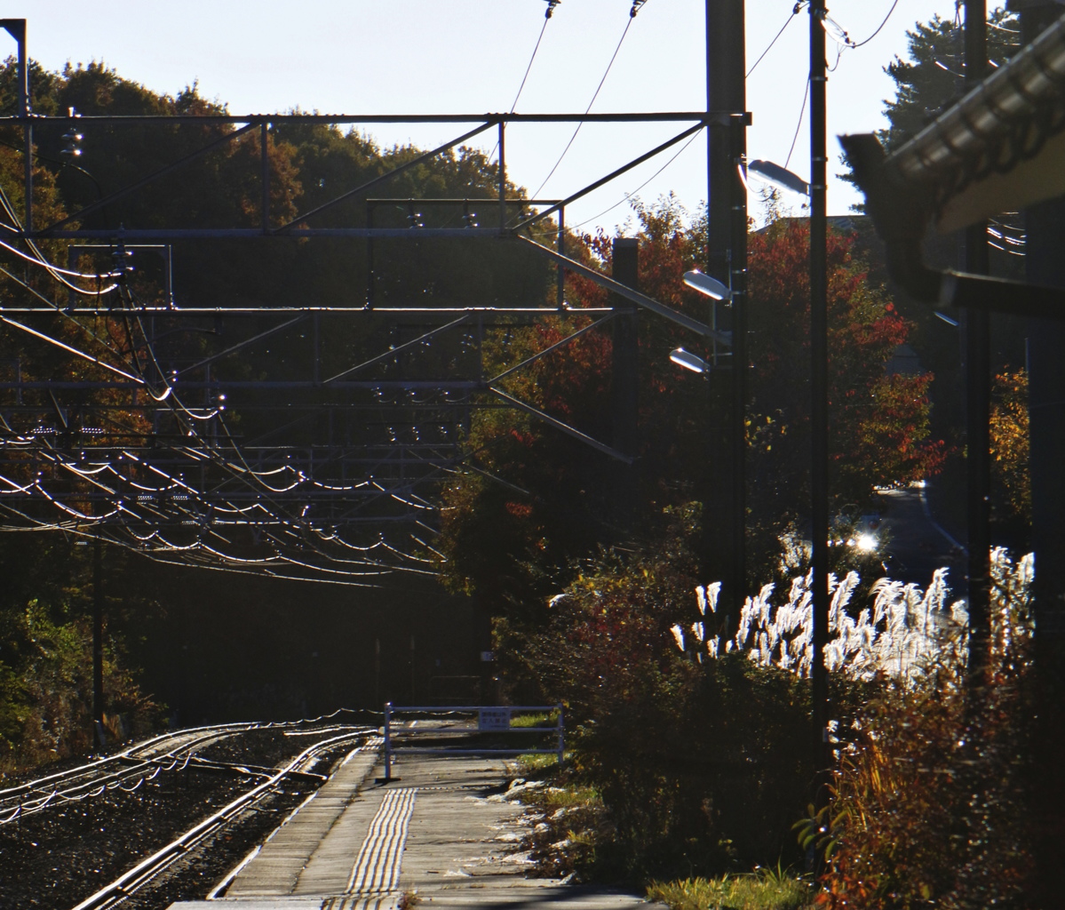 陽射しのあたるホーム