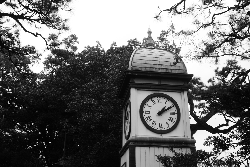 あれ～、もうこんな時間？