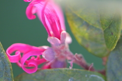 今、目覚めたところよ