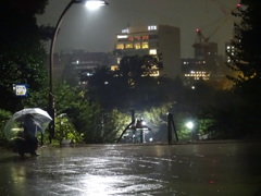 雨の中写真を撮る。