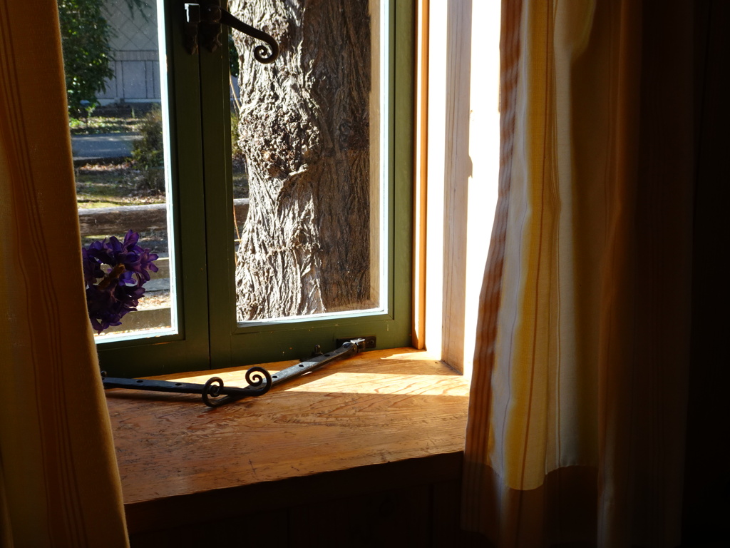 ヒヤシンスハウス～出窓