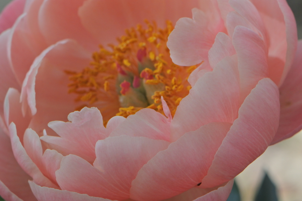 日本画のような色