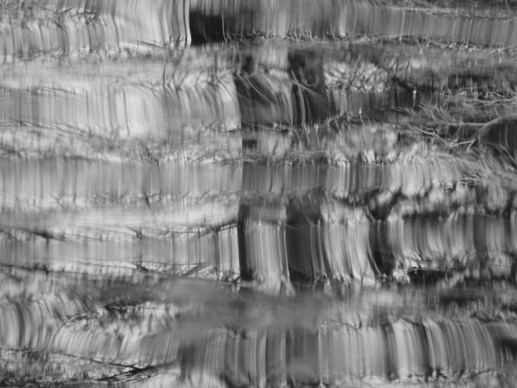 水鳥の去ったあと