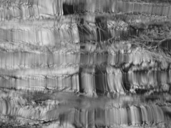 水鳥の去ったあと