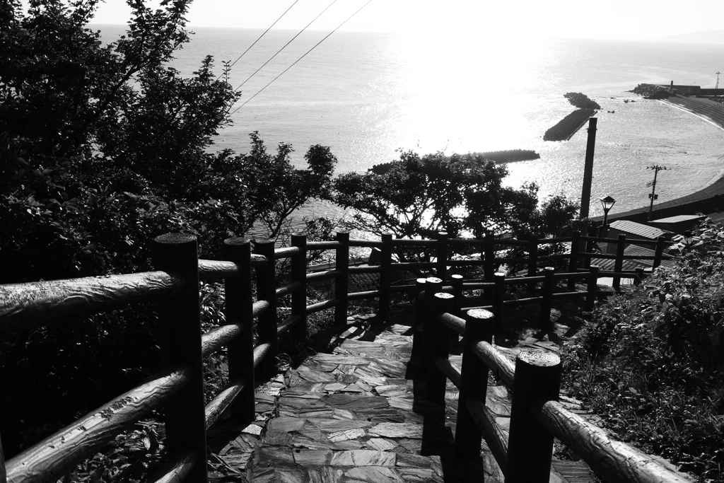 階段国道339号モノクロ