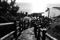 階段国道339号モノクロ