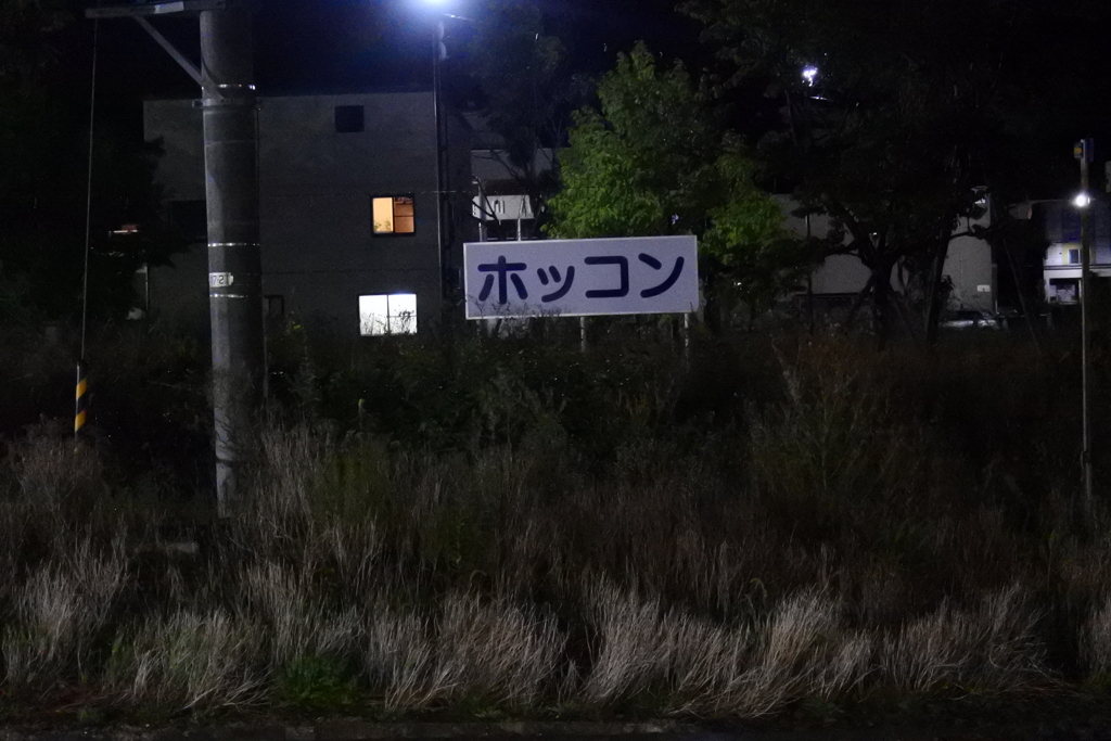 やけに目立つ看板