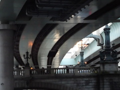 橋を覆う