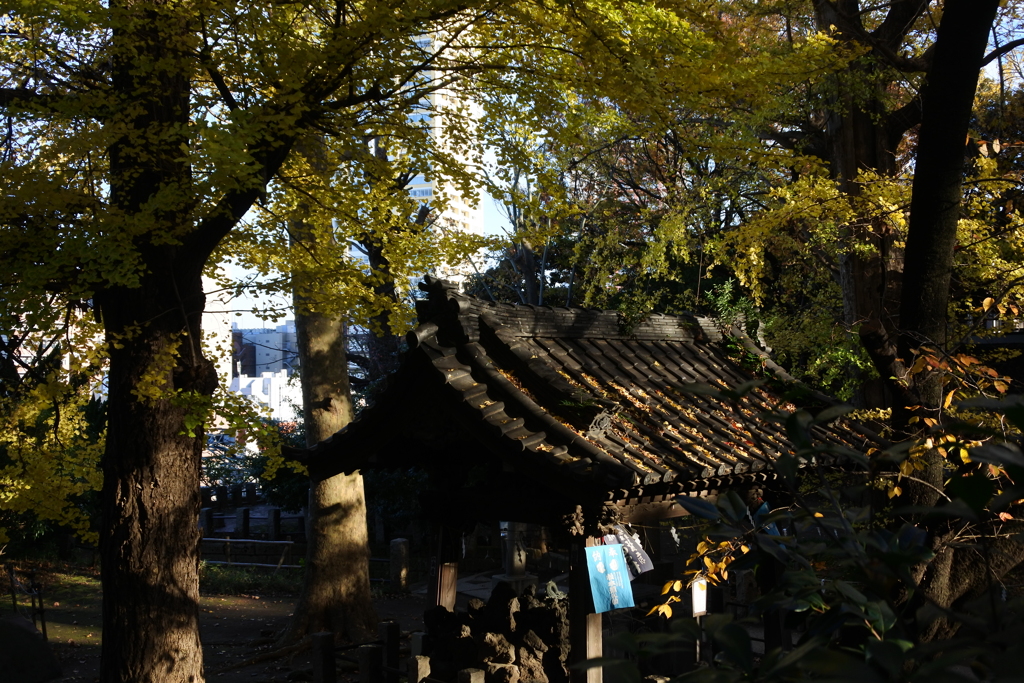 諏方神社　手水舎