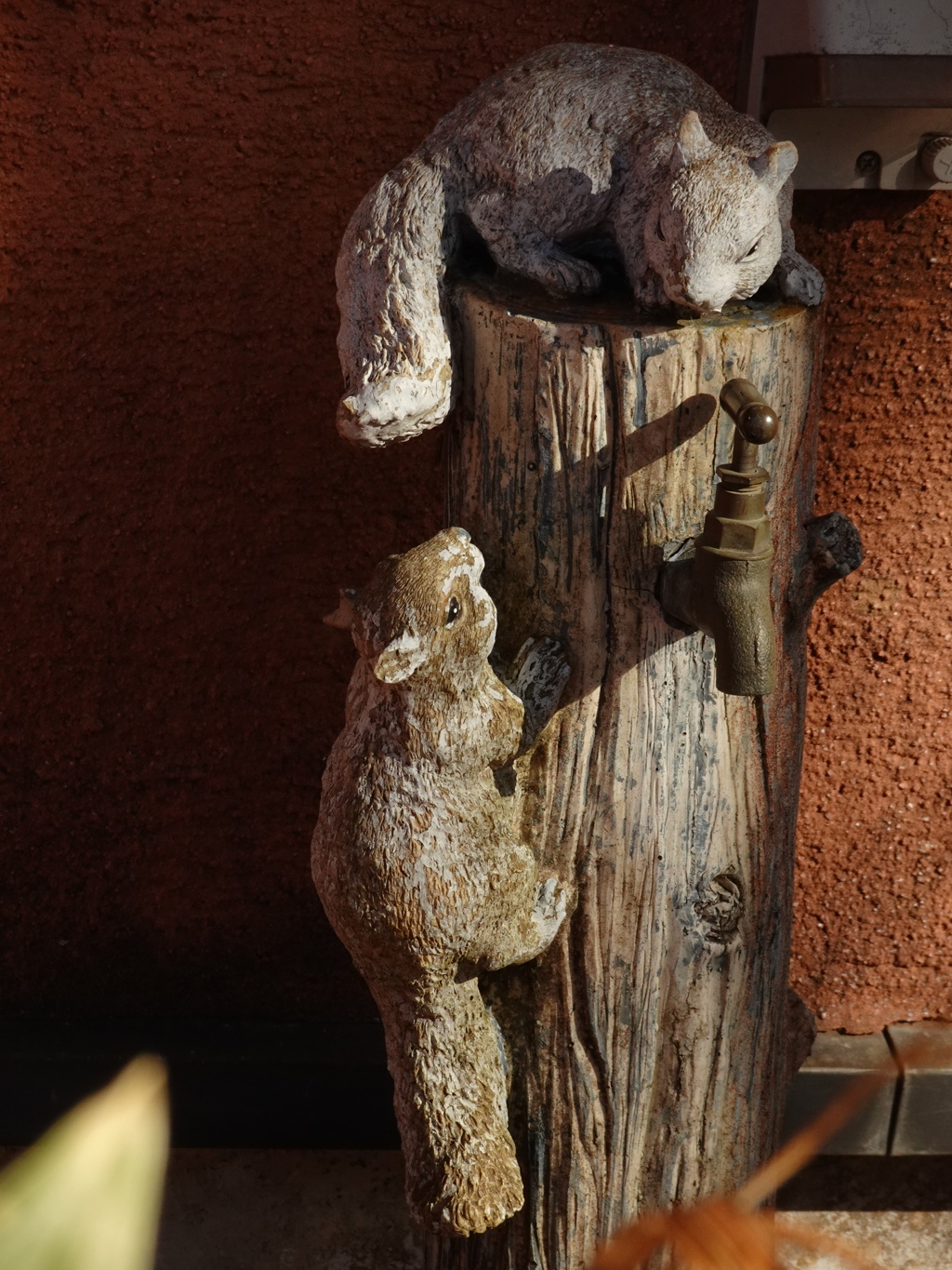 リスが遊ぶ水道