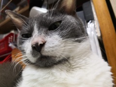 ああ、眠い　早く寝ないかしら