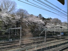 車窓からの飛鳥山