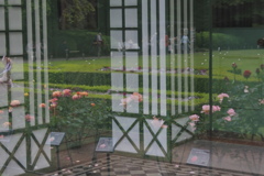 薔薇園