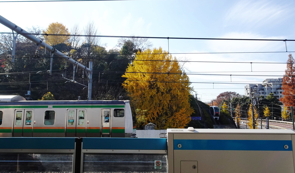 京浜東北線王子駅から