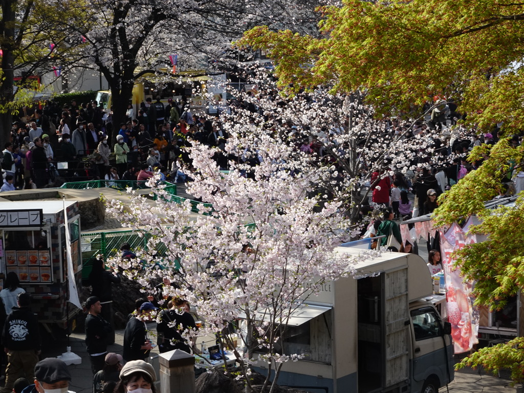 飛鳥山の花見客