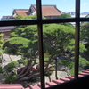 2階から庭を望む