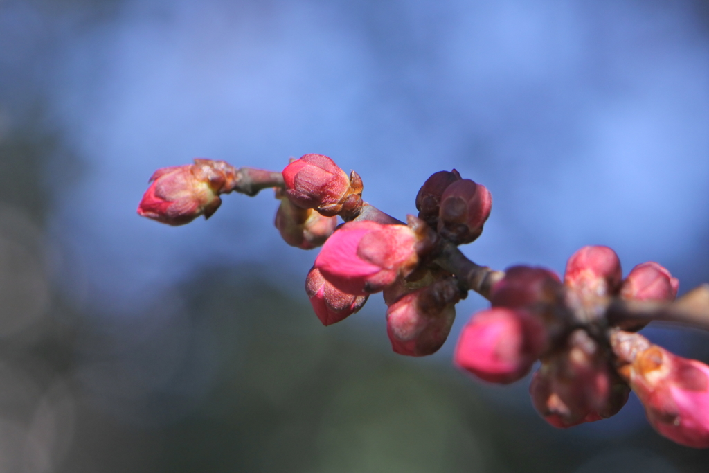 まだ運は開かない