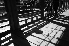 厳島神社　おみくじ