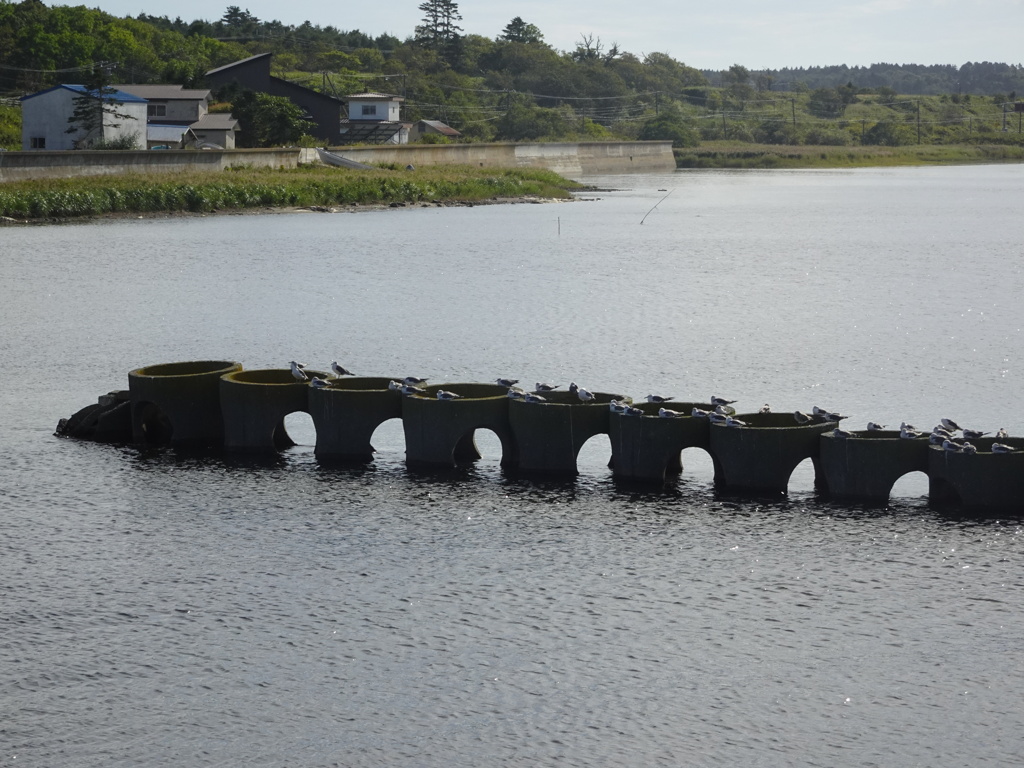 ここにもアーチ橋？