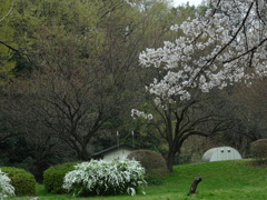 滝の城跡公園
