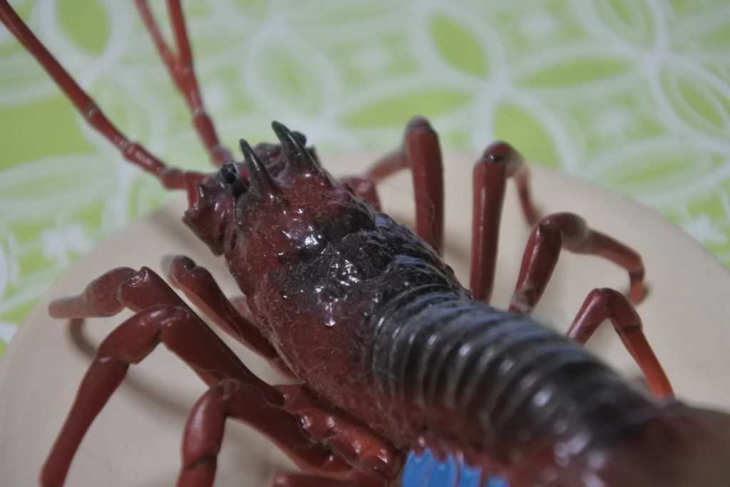 今日は伊勢海老にしよう