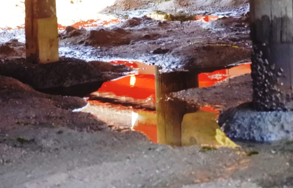 厳島神社　引き潮のあと