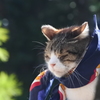 湯島天神