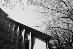 北区飛鳥山博物館