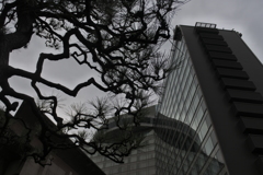 庭園からのホテル