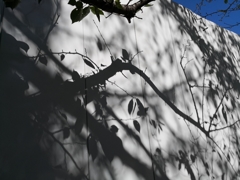 晴れた日の工事現場