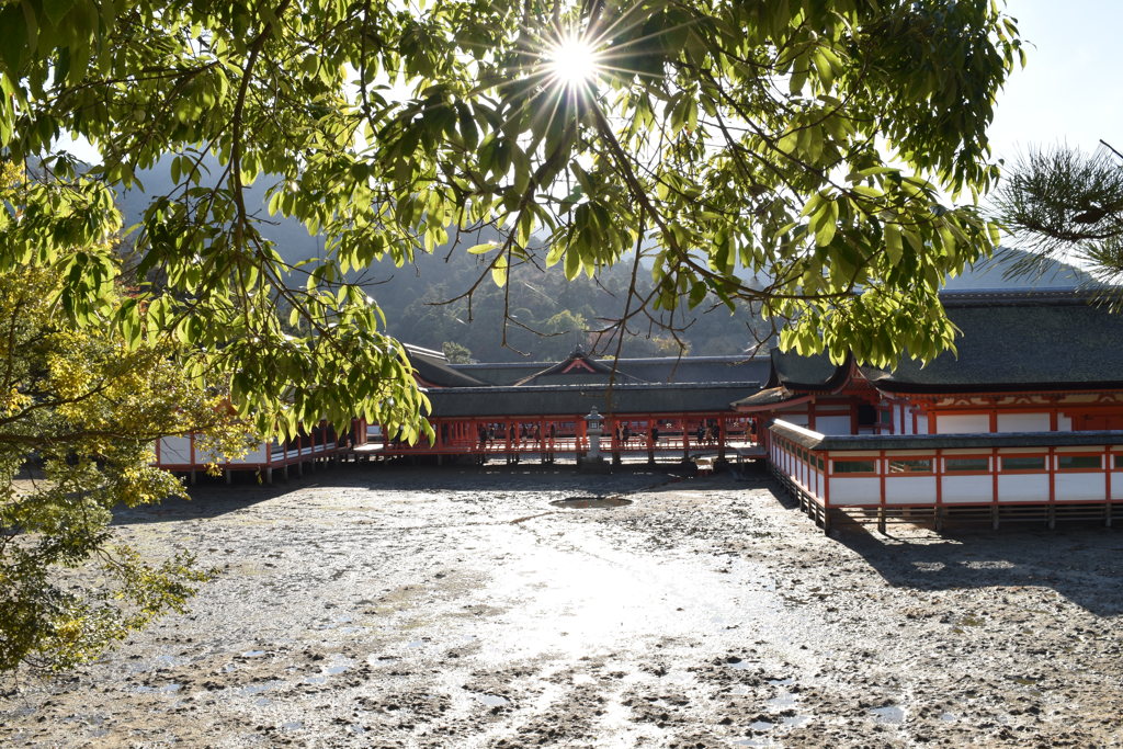 厳島
