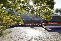 厳島