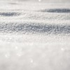 雪原　岡本臥久