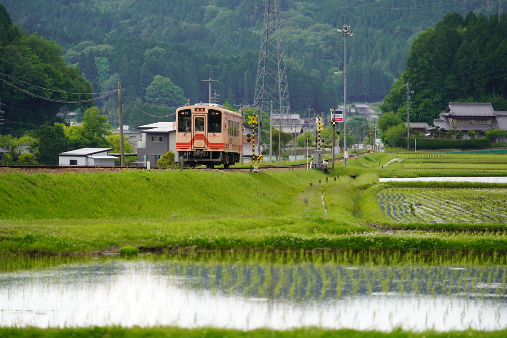 田を抜け
