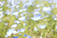 IMG_20190506_094818_876