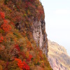 紅葉in雲仙