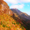 雲仙の紅葉