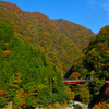 富山・欅平の紅葉〈赤い橋〉