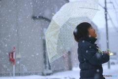 雪きれいだなぁ