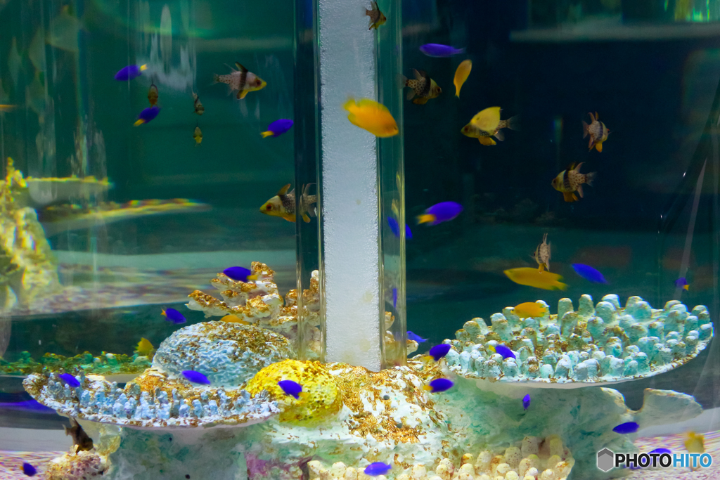 水族館