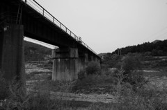 IMGP3898