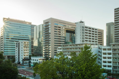IMGP2844
