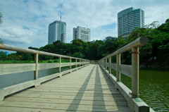 IMGP3365