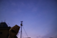 夕暮れの冬空に