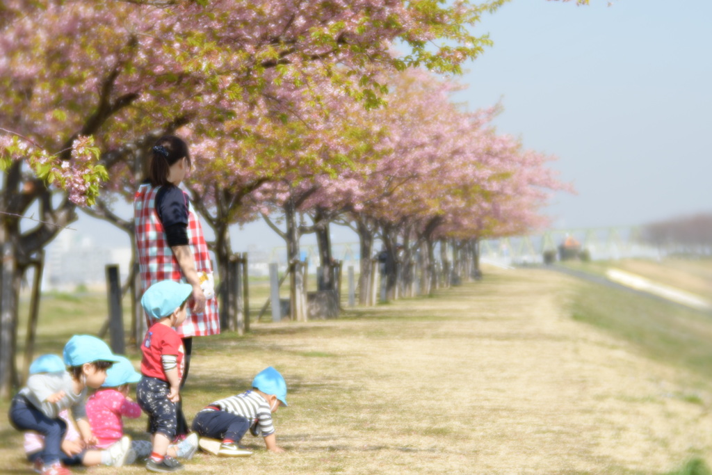土手でお散歩
